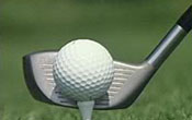 Professional Golf Teachers Association of America News